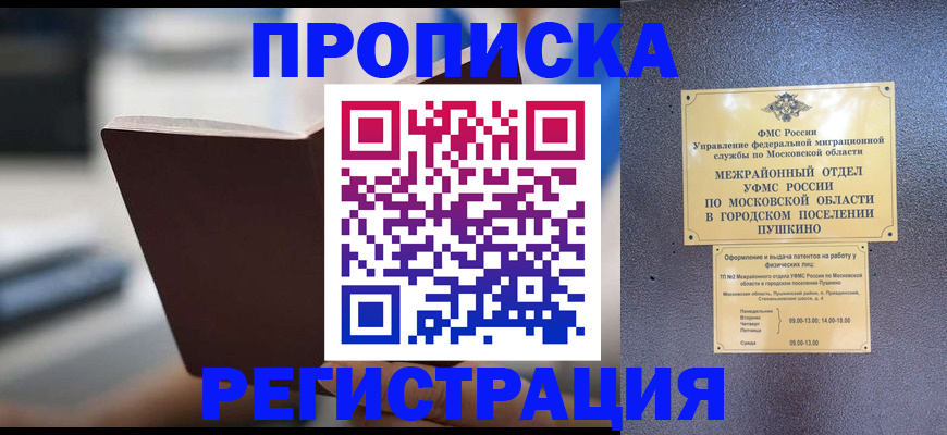 прописка законно в Щёлково